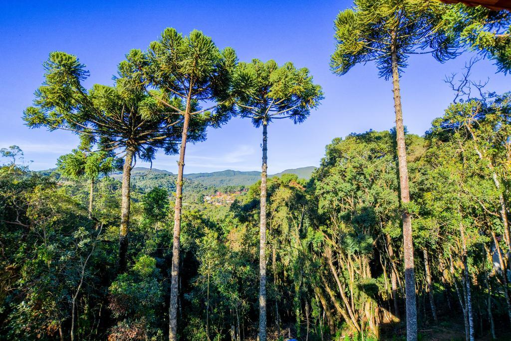 Pousada Jardim Da Mantiqueira Hotel Monte Verde  Kültér fotó