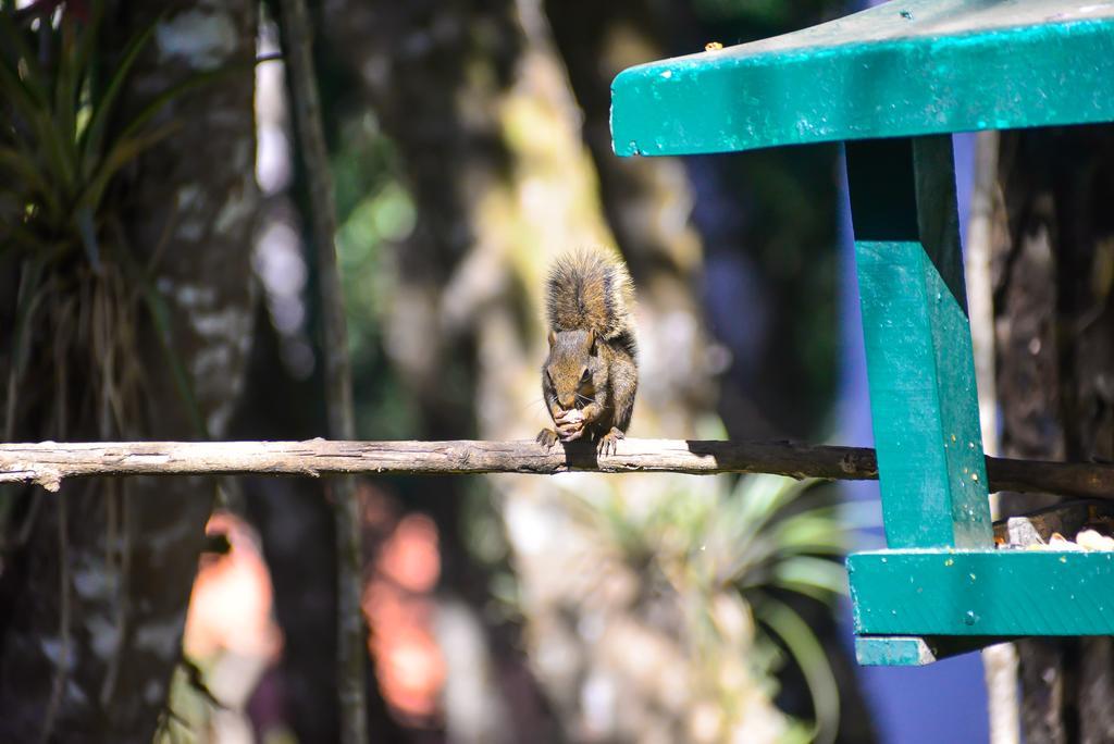 Pousada Jardim Da Mantiqueira Hotel Monte Verde  Kültér fotó